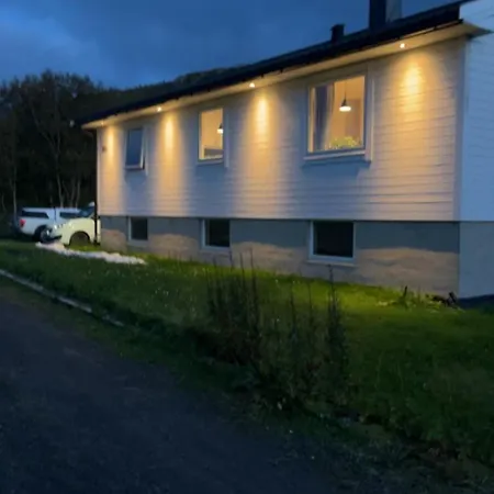 Lofotens Aurora *